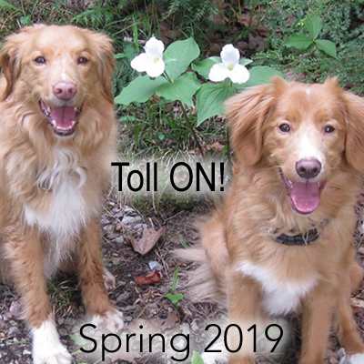 Toll ON!
